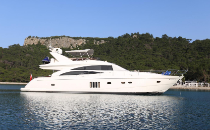 PRINCESS 67
